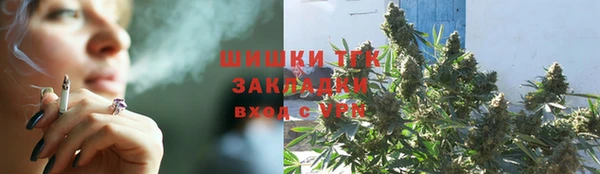 сатива Богородск