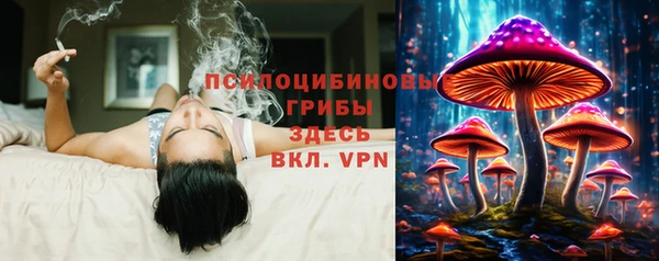 сатива Богородск